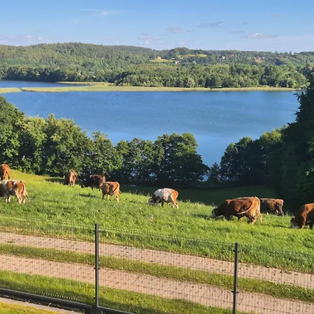 Вилла Widokownia Bukowinki 2 *