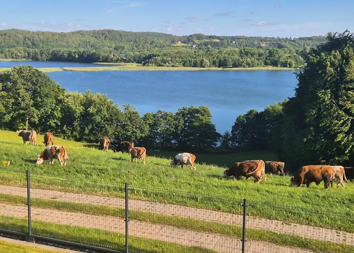 Vila Widokownia Bukowinki 2 *